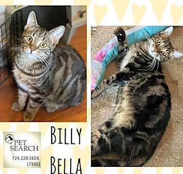 Photo of Billy