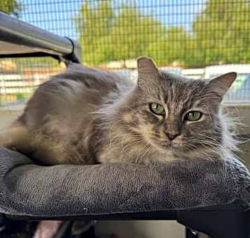 Photo of Mimi