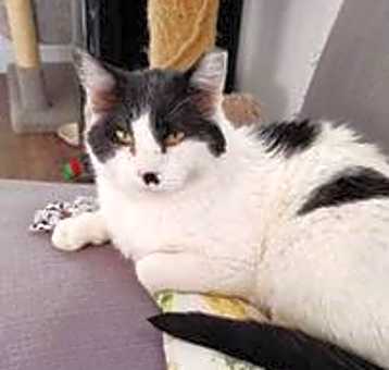 Photo of CHILI