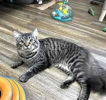 Photo of Kahea