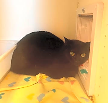 Photo of Lilith