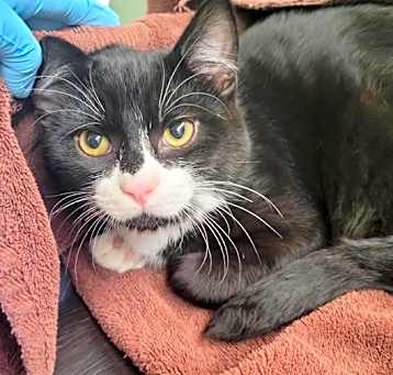 Photo of Bud (bonded To Peaches)