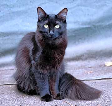 Photo of Ali