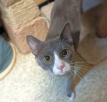 Photo of Samantha