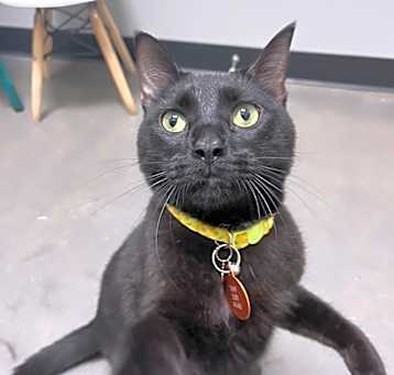 Photo of Thor