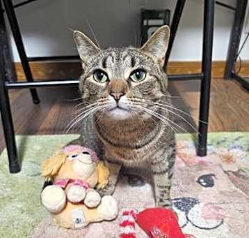 Photo of Tabatha