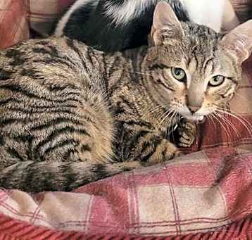 Photo of Alvin