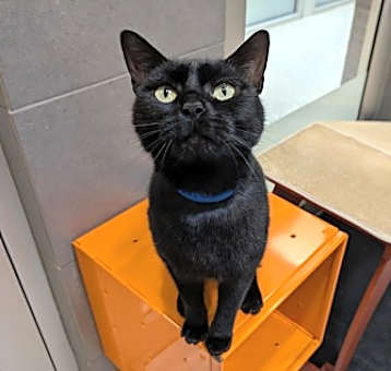 Photo of Buddy