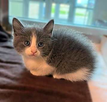 Photo of 5/7/2025
