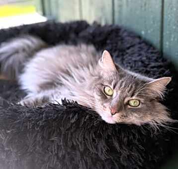 Photo of Usagi