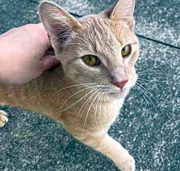 Photo of Cat Doyle