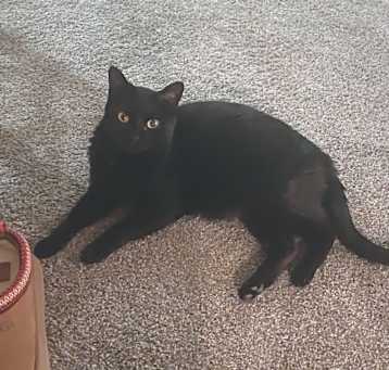 Photo of Dani
