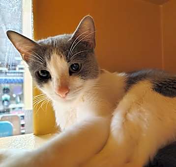 Photo of Wanda