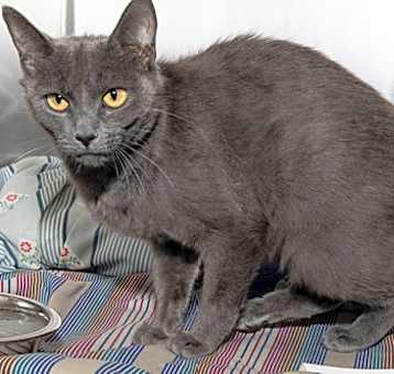 Photo of Marcy