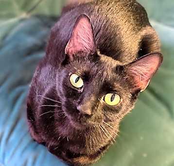 Photo of Eudora