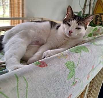 Photo of Anya