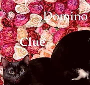 Photo of Clue