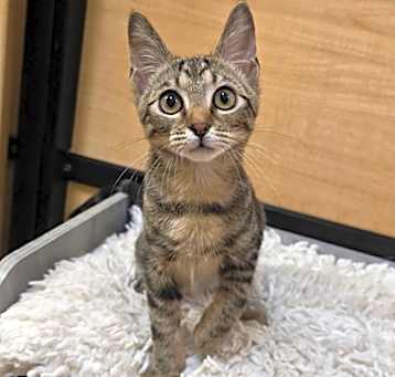Photo of Oliver