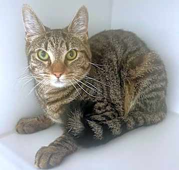 Photo of Sassy