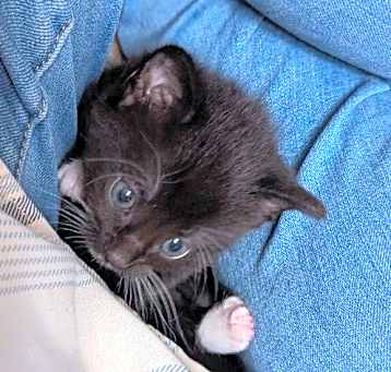 Photo of Hershey