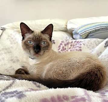Photo of Calvin