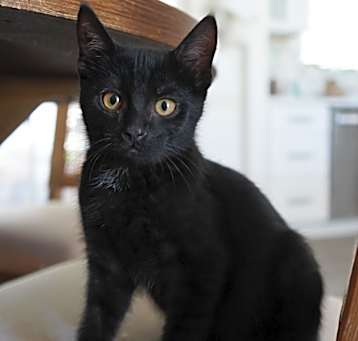 Photo of Reuben