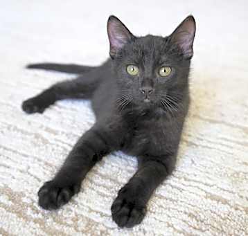Photo of Behr