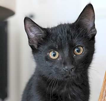 Photo of Spicy