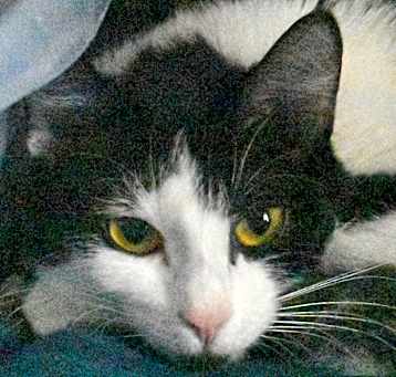 Photo of Sandi