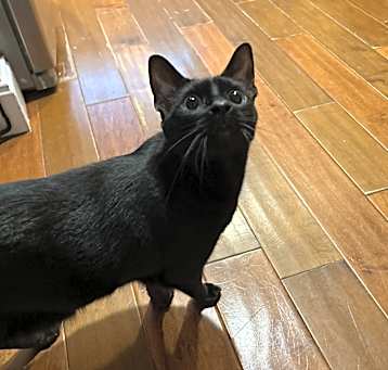 Photo of Jean Valjean (JVJ)