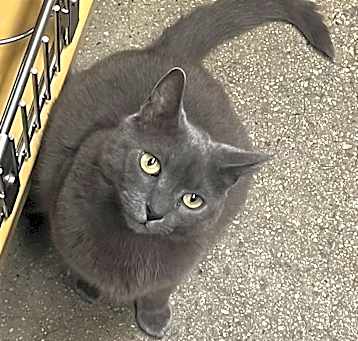 Photo of Avery