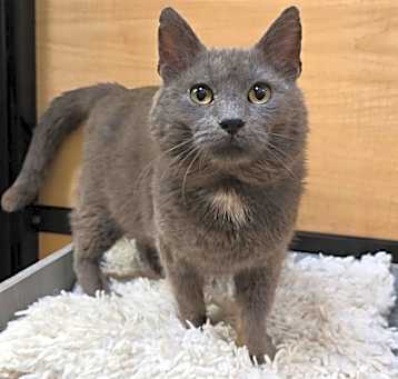 Photo of Bosco