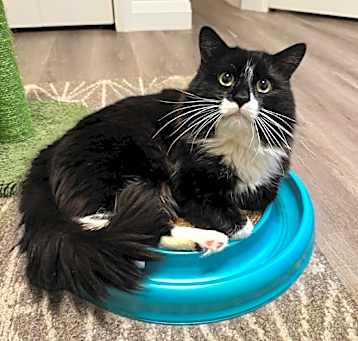 Photo of Merry