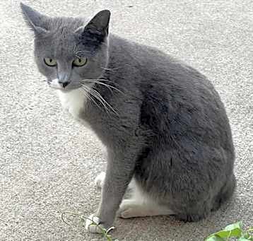 Photo of Azura