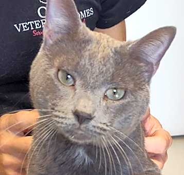 Photo of MR. MAGOO