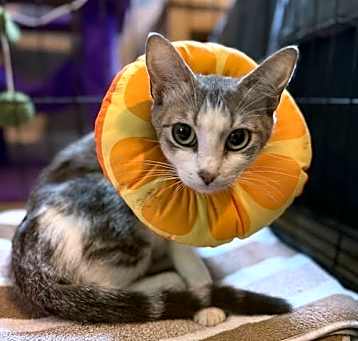 Photo of Amelia 7.29.24