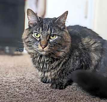 Photo of Zeus
