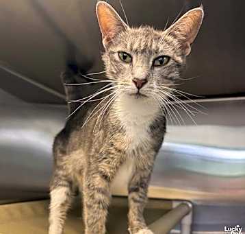 Photo of Bootsie