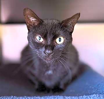 Photo of Zora