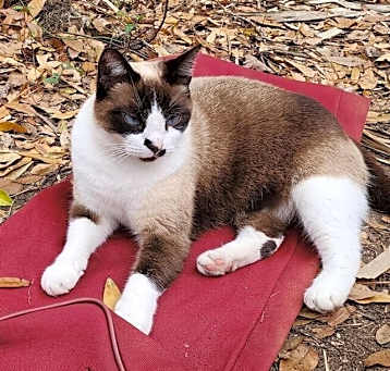 Photo of Princess Buttercup