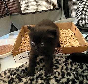 Photo of A928426