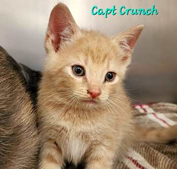 Photo of Capt. Crunch