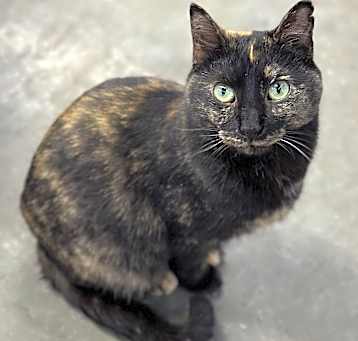 Photo of Charity