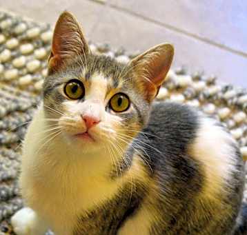Photo of Junebug