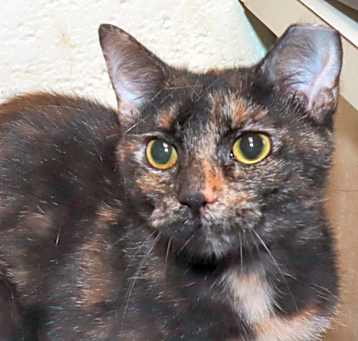 Photo of Olivia