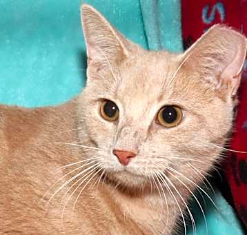 Photo of Abbott