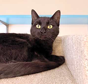 Photo of Mae