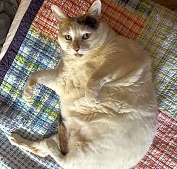 Photo of Myrtle