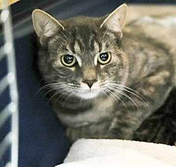 Photo of MAIZEY