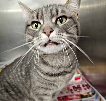 Photo of Luna